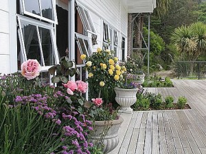deck_roses_lge