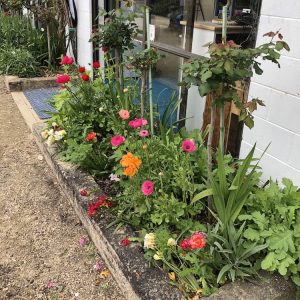 flowers blooming in a small garden in front of building
